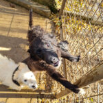 20251126-fotos-kalea-05