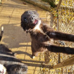 20251126-fotos-kalea-06