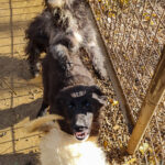 20251126-fotos-kalea-08