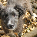 20251126-fotos-kalina-02