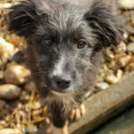 20251126-fotos-kalina-03