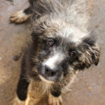 20251126-fotos-kalina-04