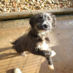 20251126-fotos-kalina-05