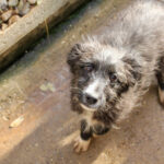 20251126-fotos-kalina-07