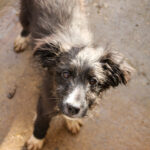 20251126-fotos-kalina-08