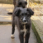 20251126-fotos-kalina-09