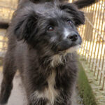 20251126-fotos-kalina-10