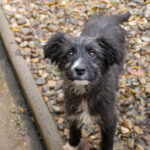 20251126-fotos-kalina-12