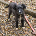 20251126-fotos-kalina-13