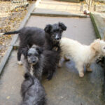 20251126-fotos-kalina-14