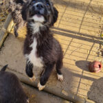 20251126-fotos-kalina-15