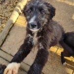 20251126-fotos-kalina-16