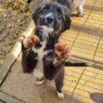 20251126-fotos-kalina-17