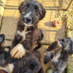 20251126-fotos-kalina-20