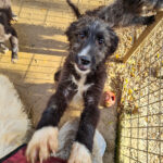 20251126-fotos-kalina-21