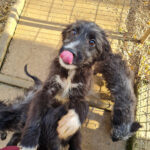 20251126-fotos-kalina-22