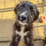 20251126-fotos-kalina-23