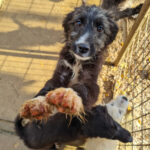 20251126-fotos-kalina-24