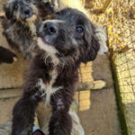 20251126-fotos-kalina-25