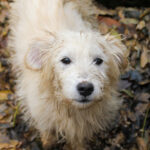 20251126-fotos-kasper-03