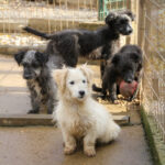 20251126-fotos-kasper-04