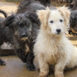 20251126-fotos-kasper-05