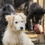 20251126-fotos-kasper-06