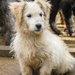 20251126-fotos-kasper-07