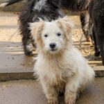 20251126-fotos-kasper-08