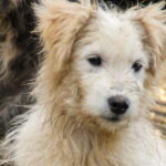 20251126-fotos-kasper-09