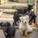 20251126-fotos-kasper-12