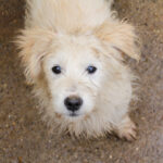 20251126-fotos-kasper-13