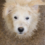 20251126-fotos-kasper-14