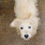 20251126-fotos-kasper-15