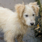 20251126-fotos-kasper-17