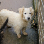 20251126-fotos-kasper-18