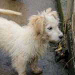 20251126-fotos-kasper-20