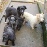 20251126-fotos-kasper-21