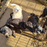 20251126-fotos-kasper-25