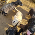 20251126-fotos-kasper-26