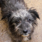 20251126-fotos-keanu-01