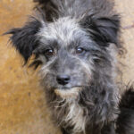 20251126-fotos-keanu-03