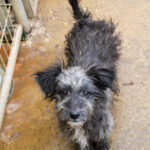 20251126-fotos-keanu-04