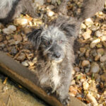 20251126-fotos-keanu-06