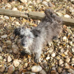 20251126-fotos-keanu-09