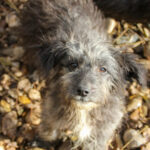 20251126-fotos-keanu-10