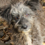 20251126-fotos-keanu-12