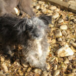 20251126-fotos-keanu-13