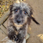 20251126-fotos-keanu-20