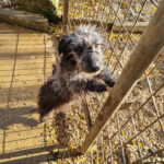 20251126-fotos-keanu-24